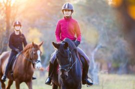 balada-equestre-chalet-montrejeau